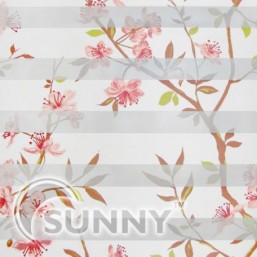 DN-Sakura